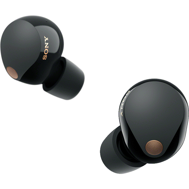 Sony in ear true wireless sale